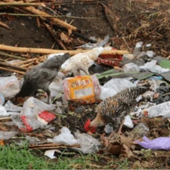 REUSE. REDUCE. RECYCLE. ♻️ - Picture 4 of 4